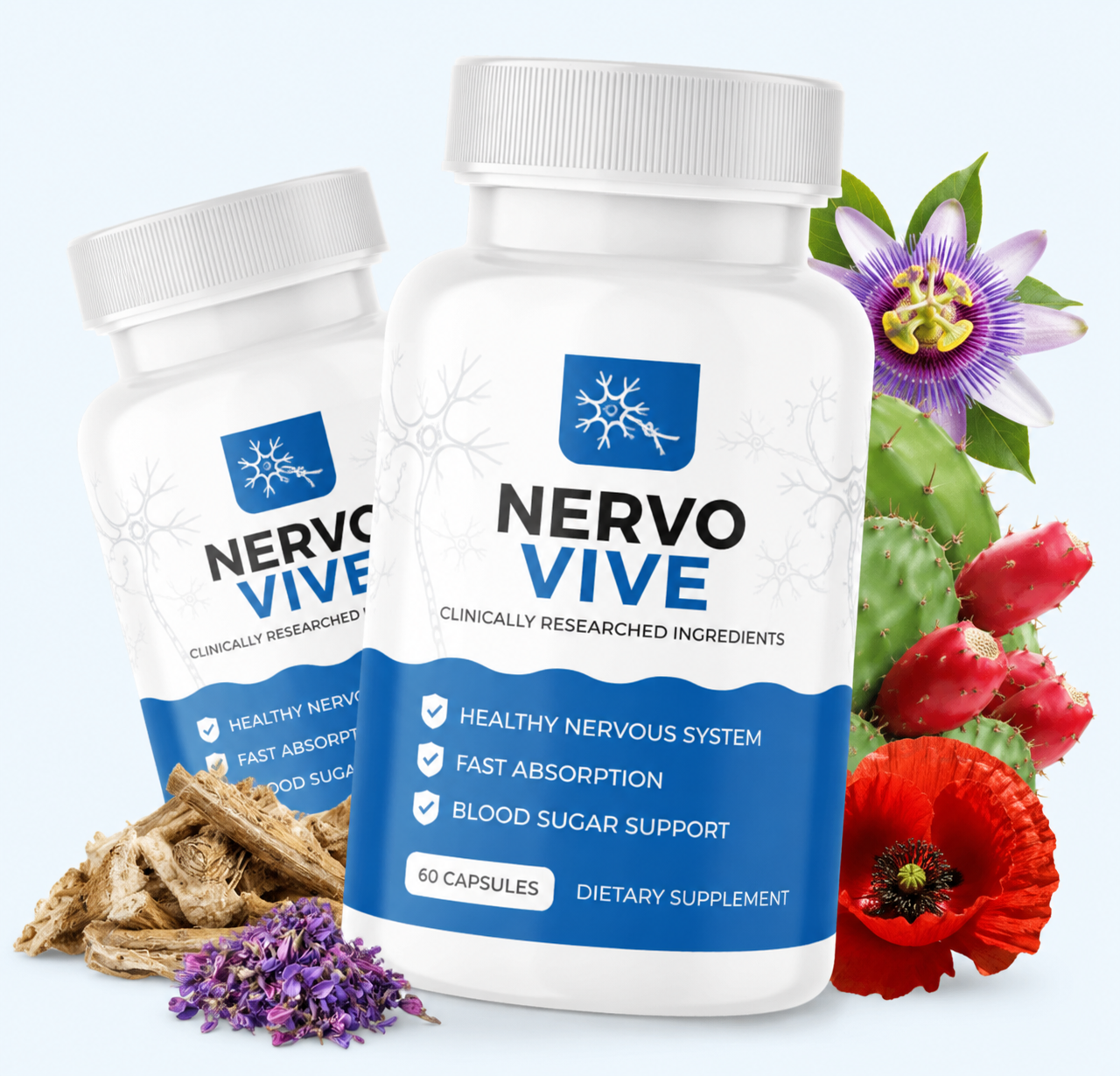 NervoVive