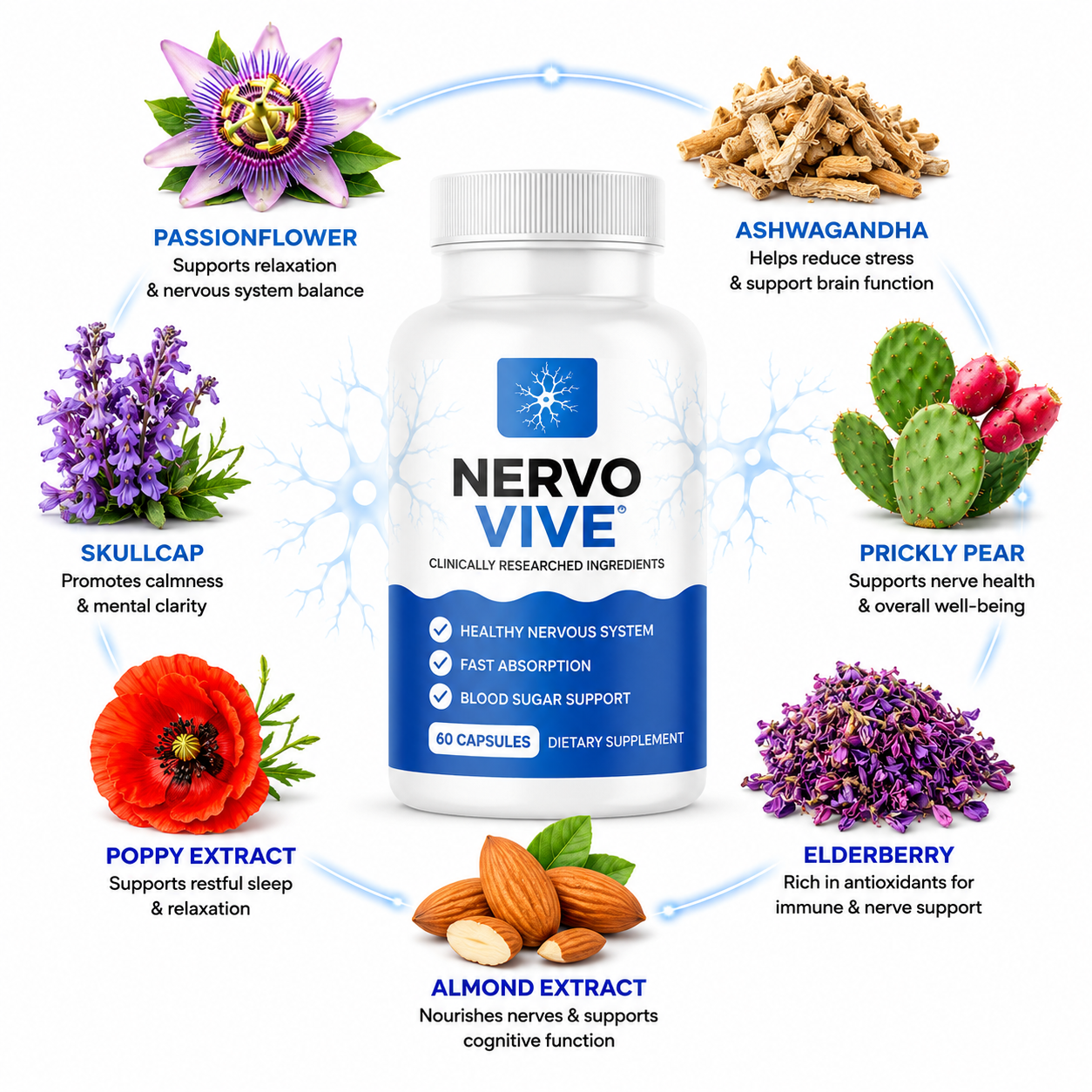 NervoVive-ingredients